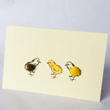 Greeting Cards & Gift Wrap