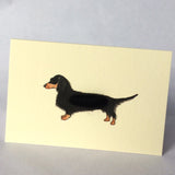 Greeting Cards & Gift Wrap