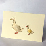 Greeting Cards & Gift Wrap