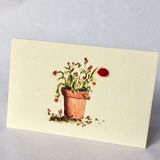 Greeting Cards & Gift Wrap