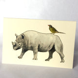 Greeting Cards & Gift Wrap