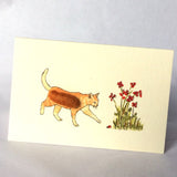 Greeting Cards & Gift Wrap